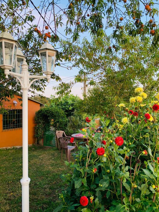 Vivienda Vacacional El Majo Siero Eksteriør bilde