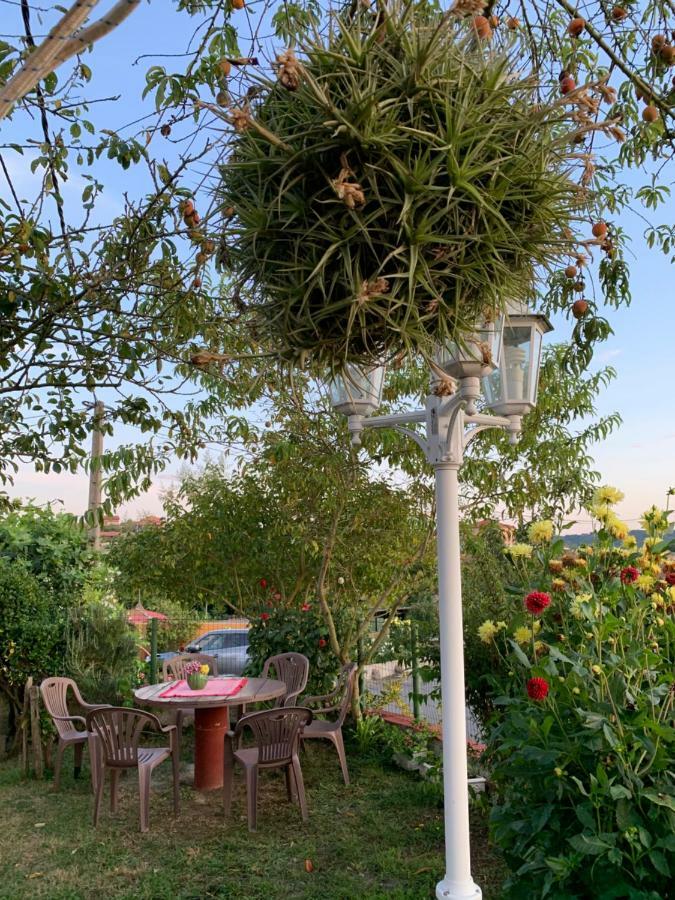 Vivienda Vacacional El Majo Siero Eksteriør bilde